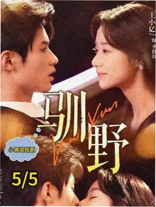 御书屋古装剧集半城烟雨封面